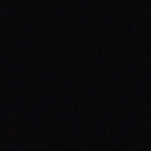 Meet your Posher, Oscar